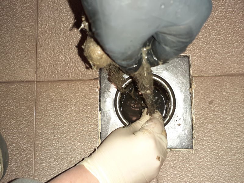 Shower Drain Clearing