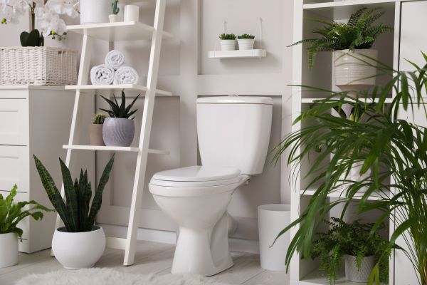 Cost of Toilet Repair in Brooklyn