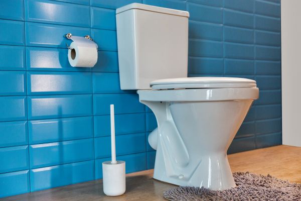 Cost of Toilet Tank Repair in Brooklyn
