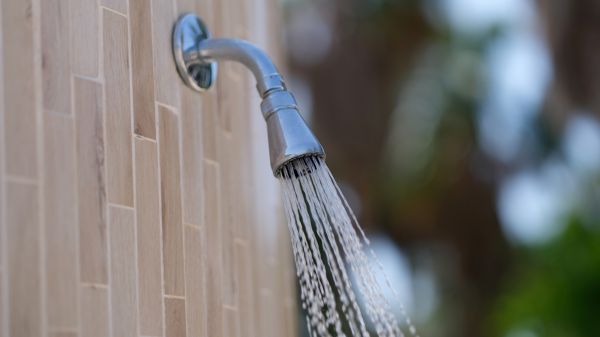 Cost of Showerhead Repair in Brooklyn